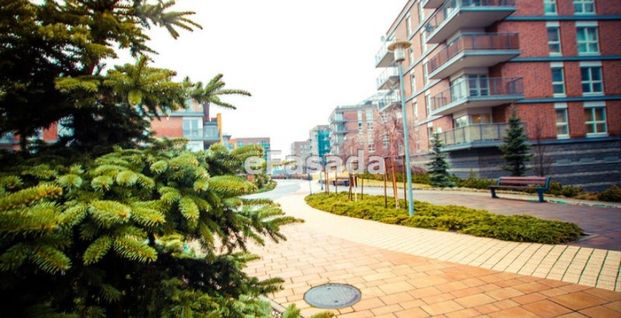 Katowice, Dąb Mieszkanie na wynajem - Photo 1