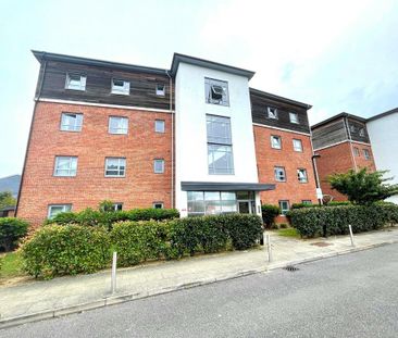 2 bedroom flat share to rent - Photo 5