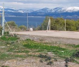 Διαμέρισμα για ενοικίαση - Κάλαμος, - Photo 4