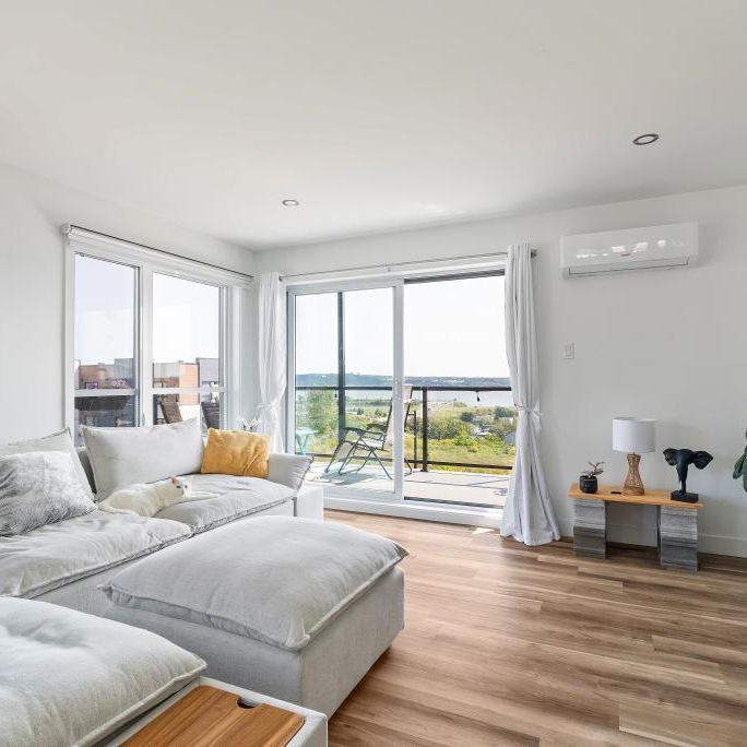 ANIMAUX ACCEPTÉS, Grand 51/2 vue partielle sur le fleuve - Photo 1