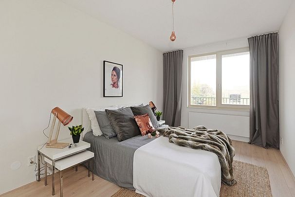 Buitenom 181 - Photo 1