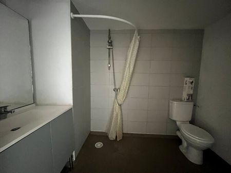 Location Appartement 1 pièce 21m² CENON 33150 - Photo 3