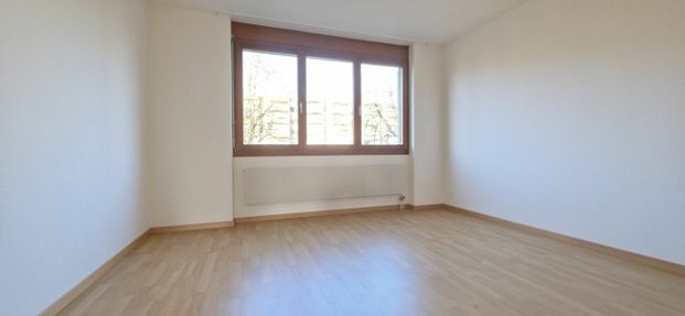 3.5 Zimmer - Photo 1