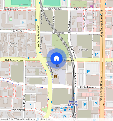 Surrey, Surrey, Metro Vancouver, V3T 1V8