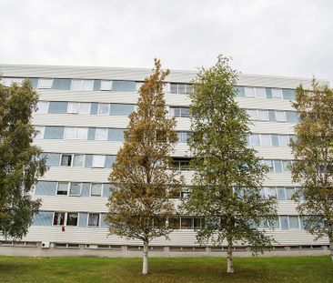Hamnplan 20 B, 94161, Piteå - Foto 2