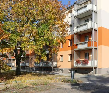 Singlewohnung im Zentrum - Foto 1