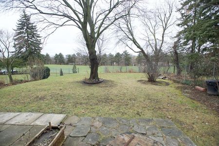 For Lease - 272 Essex (Work Out Basement) Avenue, Richmond Hill, Ontario - Photo 2