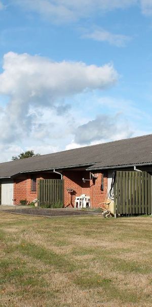 Østerby - Læsø - Foto 1