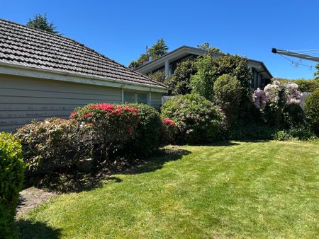 Student Accommodation Available - Photo 4