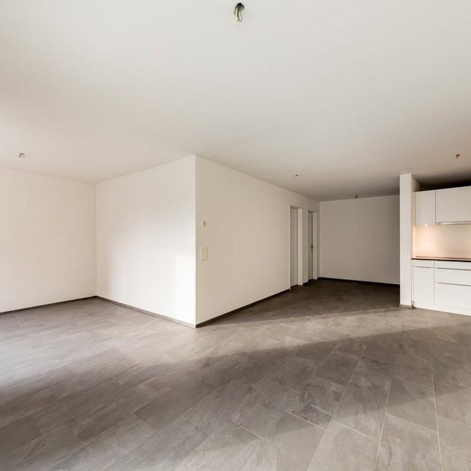 3.5 Zimmer, 78 m², EG - Foto 1