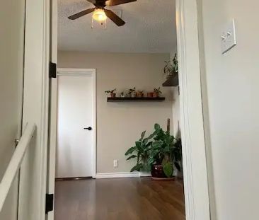 RECENTLY RENOVATED BRIGHT & SUNNY TOP FLOOR SUITE IN ALTADORE — 1 B... - Photo 1