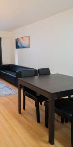 Available NOW - West End- Furnished Studio @1925 Nelson - Photo 3