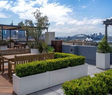 64/117 Macleay Street Potts Point - Photo 5