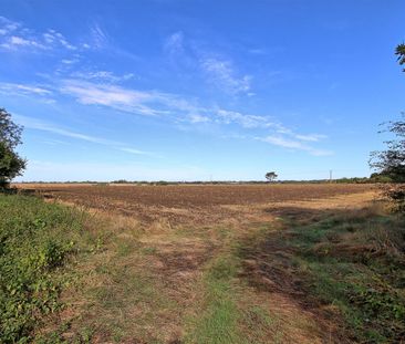 House – Semi-Detached – 1 Carrara Cottage Farm Main Street, Caldecote, Cambridge 1 Carrara Cottage Farm - To Rent - Photo 3