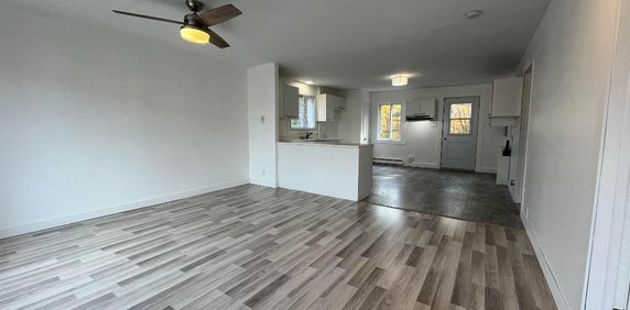 Beau grand 4 et demi lumineux et tranquille - Photo 2