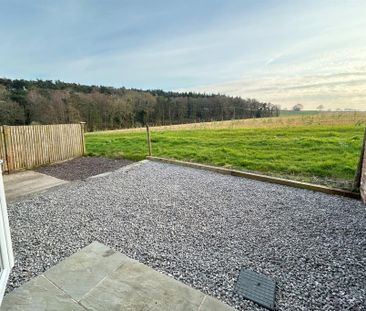 2 bedroom semi-detached house to rent - Photo 6