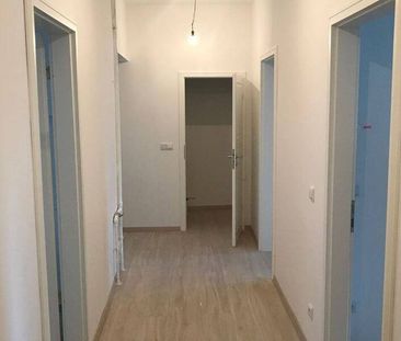 3 Zimmer Wohnung Erdgeschoss ab 1.1.26 - WG geeignet - Photo 1