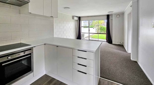 NEW LYNN - 2 Bedroom - Photo 1