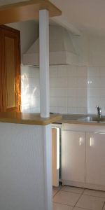 Appartement à louer, 2 pièces - Angers 49100 - Photo 4