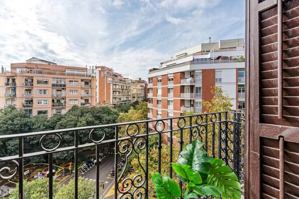 Carrer del Comte Borrell, Barcelona, Catalonia 08015 - Photo 1