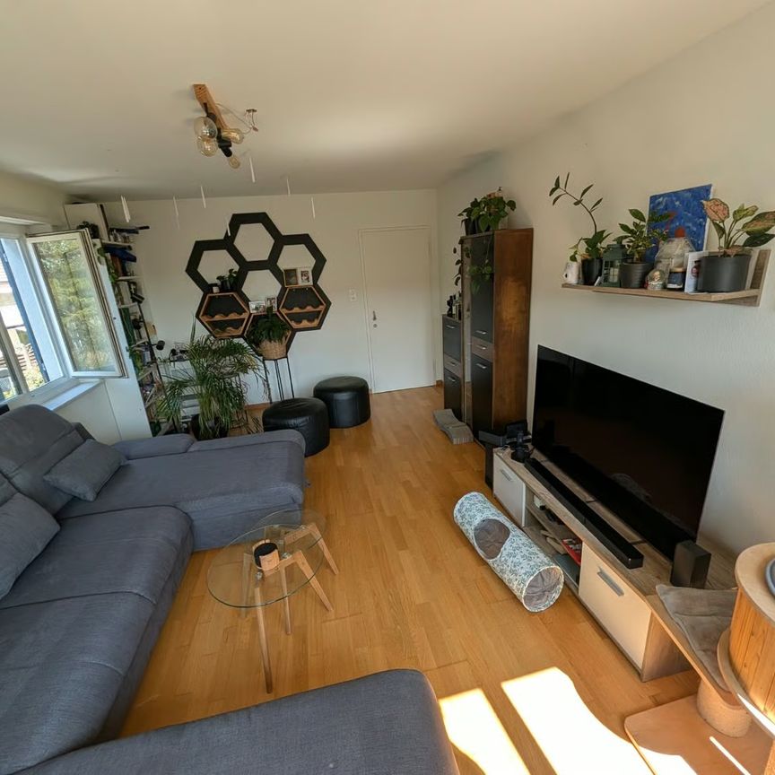 3.5 Zimmer, 85 m², 1. Stock - Photo 1
