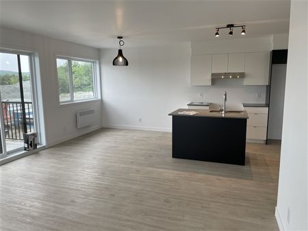 820-304, rue Lamarche, Sherbrooke, J1H 0M9 3½ pour Janvier - Photo 5