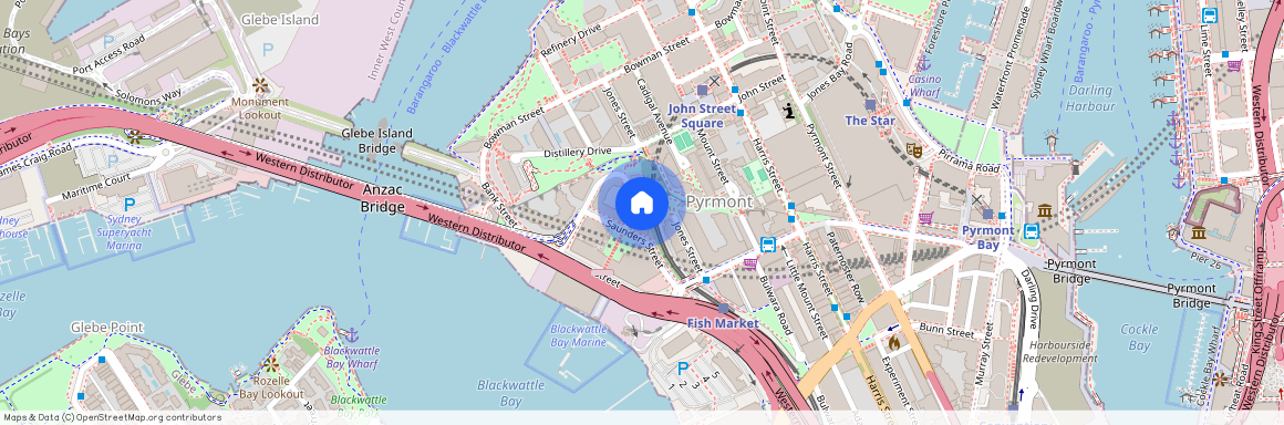 Level3/42 Saunders Street, Pyrmont, NSW 2009