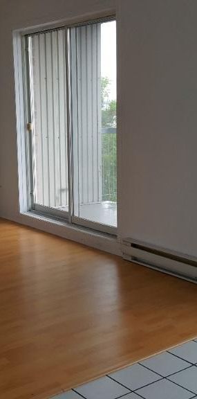 Grand 4 1/2 pour novembre - Photo 1