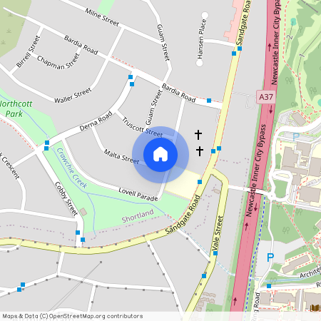 2 Malta Street, Shortland NSW 2307