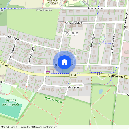 Blomstervägen, Flyinge