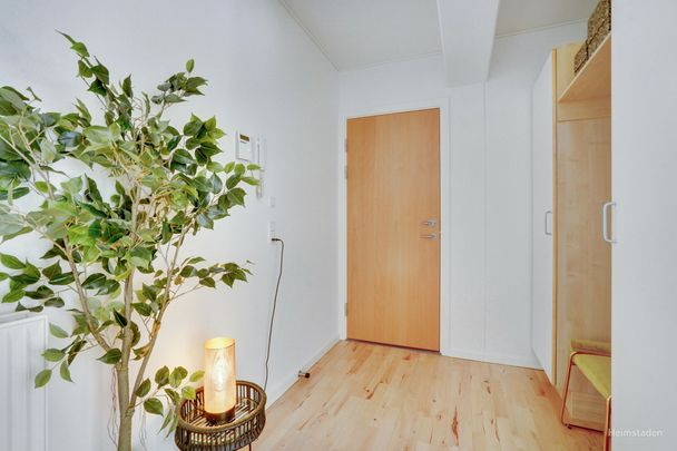 Lyse bylejligheder centralt placeret i Esbjerg - Photo 1