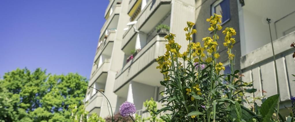 3-Raum-Wohnung mit Balkon mit guter Verkehrsanbindung - Foto 1