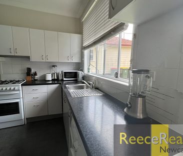 11 Lee Crescent, Birmingham Gardens, NSW 2287 - Photo 1