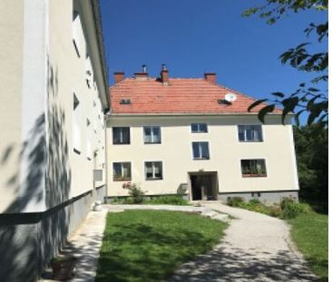 Vierzimmerwohnung im Südburgenland - Mit Gemeinschaftsgarten, auch ... - Foto 6