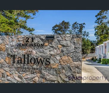 13/21 Jenkinson Street, Indooroopilly, Qld 4068 - Photo 5