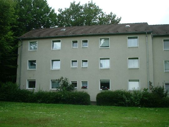 Alles neu! 2-Zimmer-Erdgeschoss-Whg. mit Dusche + Balkon! - Photo 1