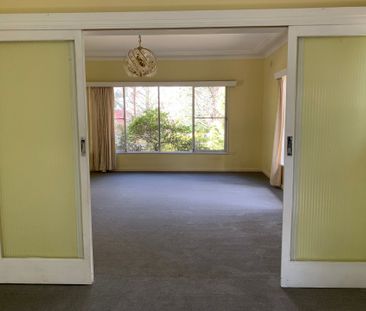 1950's Cottage on double block, walk to town - Photo 6