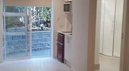 1 bedroom Unit - Newly Renovated - Fully Furnished - Photo 4