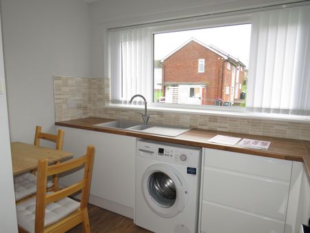 Durnan Grove, Rotherham, Rawmarsh - Photo 4