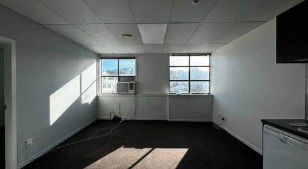 8F/15 Dixon, Te Aro - Photo 2