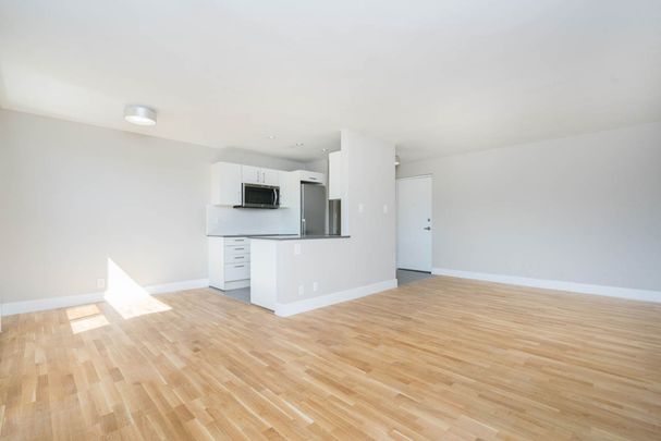 25 Eccleston Drive - Photo 1