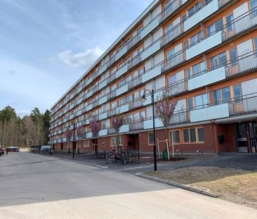 Trädgårdsgatan 50 A - Photo 1
