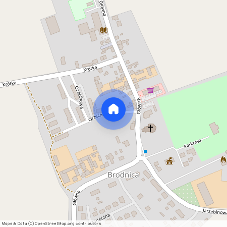 Brodnica, Brodnica, śremski, wielkopolskie