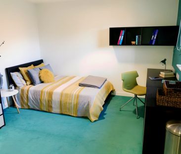 Premier Luxe Studio - Photo 4