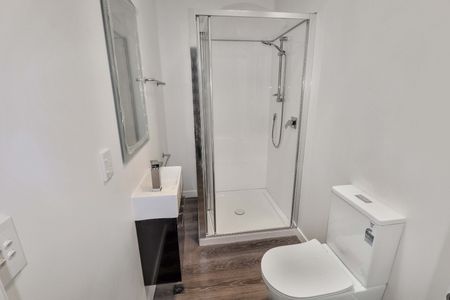 Aro Valley , Spacious 5 bedroom flat - Photo 4