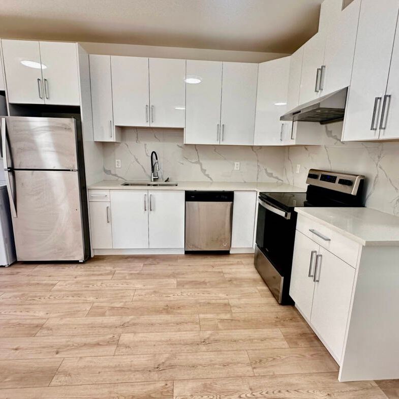 13185 236b St, Maple Ridge (Ground Level Basement B) - Photo 1