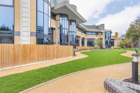 Studio to rent - Photo 5