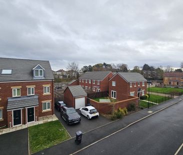 Tame Close - Photo 3