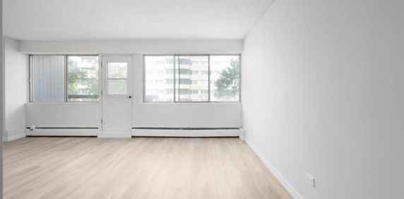 Sunny And Renovated 4 1/2 - Saint Laurent - 335 Boulevard Deguire, Saint-Laurent - Photo 2