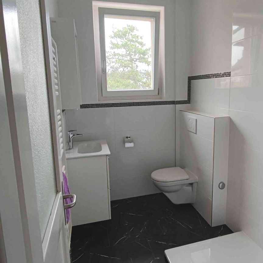 4.5 Zimmer, 110 m², 1. Stock - Foto 1